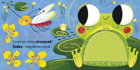 Książeczka sensoryczna, Dotykam, poznaję ŁĄKA