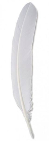 Pióro ze ściętym końcem Białe