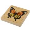 Cykl życia rozwoju motyla - puzzle warstwowe