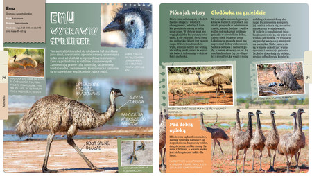 Andrzej Kruszewicz opowiada o ptakach świata