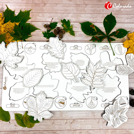 Drewniana układanka - Liście i owoce drzew