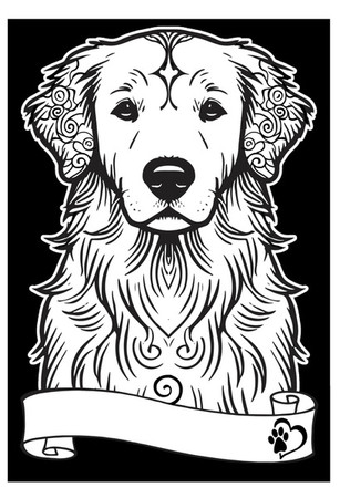 Kolorowanka Welw. A4 Golden Retriever