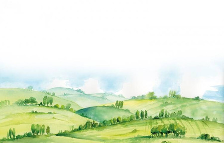 Gra Łąka (Meadow) PL