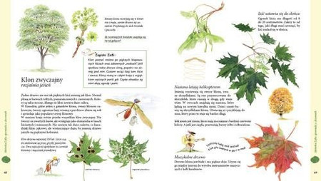 Mrówka Zofia opowiada