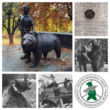 Miś Wojtek Tom Justyniarski