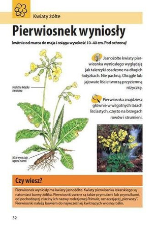 Mój pierwszy przewodnik. Jaki to kwiat?
