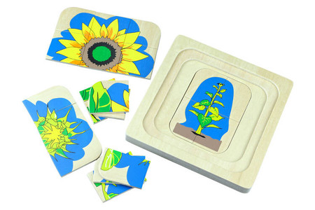 Moyo Montessori | Cykl życia kwiatów BIO_B041