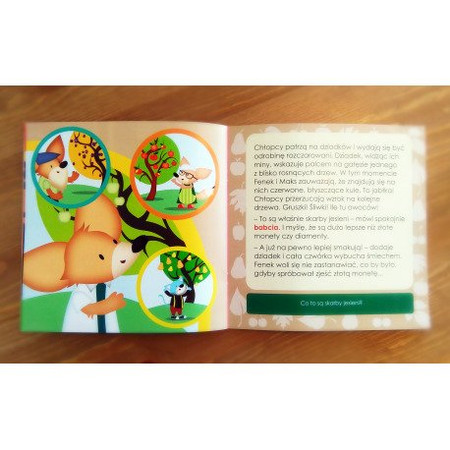 Przygody Fenka - Skarby jesieni PORY ROKU