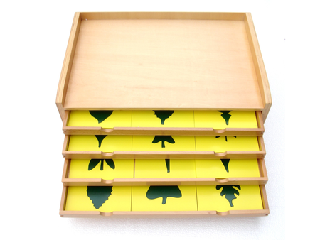 Moyo Montessori | Komoda botaniczna BIO0016_B001