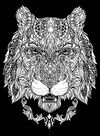 Kolorowanka Welwetowa 47x35 Lwica