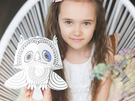 Kolorowanka 3D Cube head - Sowa 3l+ MONUMI