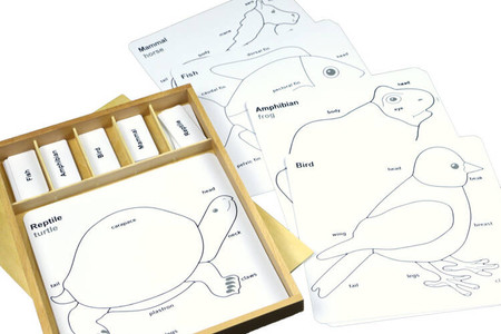 Moyo Montessori | Zestaw zadań do puzzli zoologicznych (ANJ) BIO0192_JS-S036-1