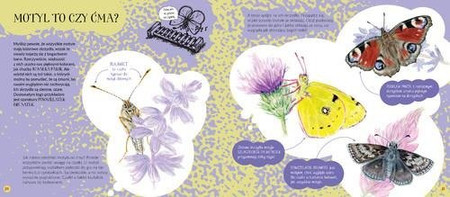 Motyle dzienne i nocne
