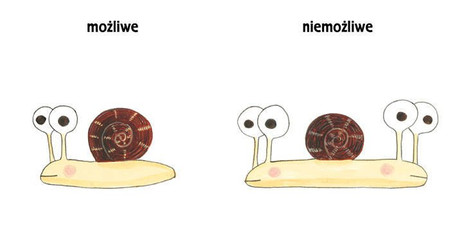 Pomelo i przeciwieństwa