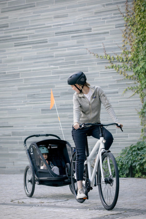 Hamax - Przyczepka rowerowa BREEZE z zestawem do biegania, podwójna - Black
