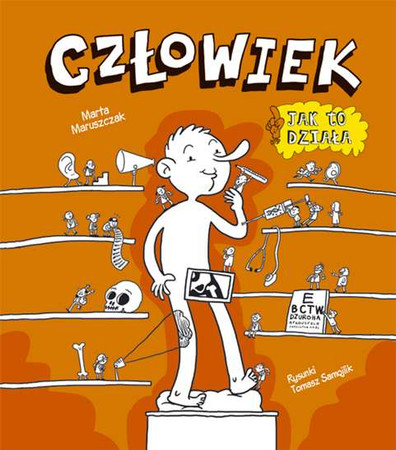 Człowiek jak to działa