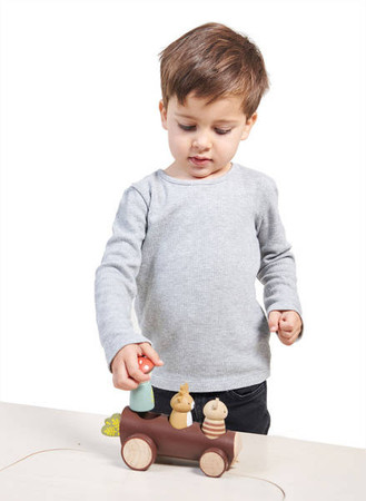 Drewniana leśna taksówka, Tender Leaf Toys
