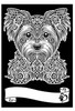 Kolorowanka Welw. A4 Yorkshire Terrier