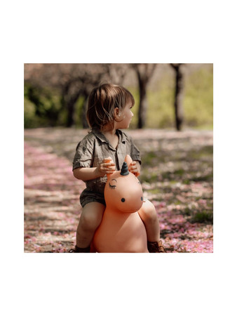 Skoczek Find that Hippo - Jednorożec