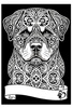 Kolorowanka Welwetowa A4 Rottweiler