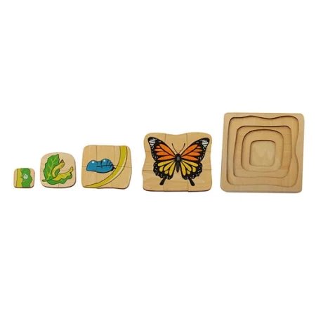 Cykl życia rozwoju motyla - puzzle warstwowe