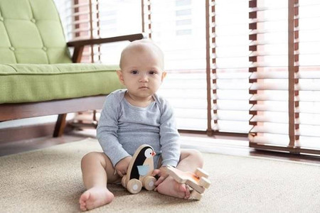 Pojazd do zabawy, Pingwin na kółkach Plan Toys