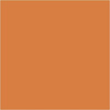 Farba PLUS Color 60 ml Dyniowa