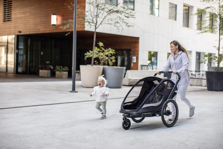 Hamax - Przyczepka rowerowa COCOON, podwójna - Grey/black