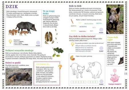 Ssaki lasów i łąk. Młody Obserwator Przyrody