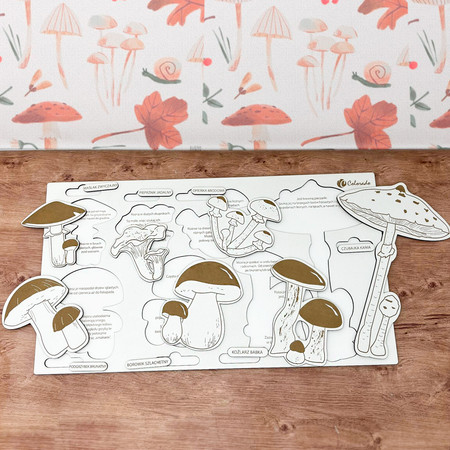 Drewniana układanka - Grzybobranie - Grzyby w Polsce