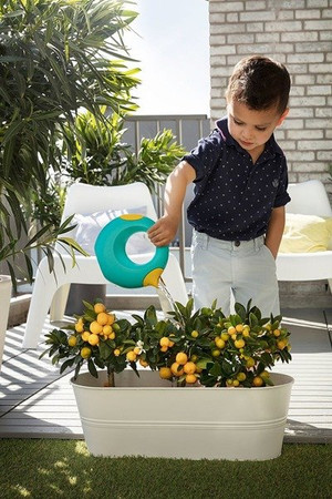 Konewka Cana Small Quut - Lagoon Green + Mellow Yellow