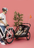 Hamax - Przyczepka rowerowa COCOON ONE z zestawem do biegania - Grey/black