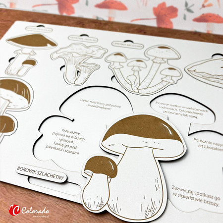 Drewniana układanka - Grzybobranie - Grzyby w Polsce