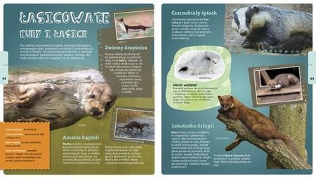 Wojciech Gil opowiada o leśnych rodzinach