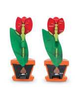 Learning Resources | Budowa kwiatu, przekrój poprzeczny LERLER1905