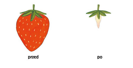 Pomelo i przeciwieństwa