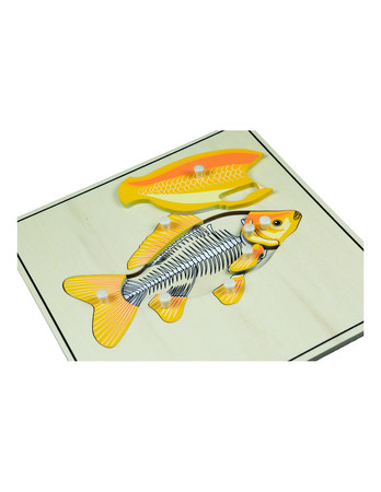 Puzzle ze zwierzętami - Szkielet ryby