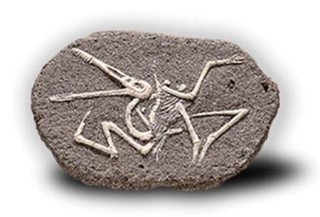 Bones&More, Duży szkielet dinozaura - wykopalisko na kamieniu