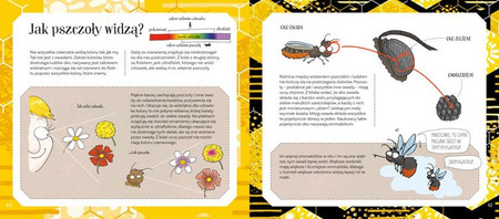 Pszczoły miodne i niemiodne