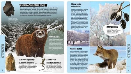 Małgorzata Falencka - Jabłońska opowiada o przyrodzie