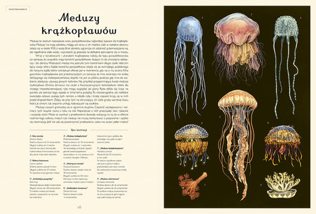 Oceanarium. Muzeum Oceanu wyd. Dwie Siostry