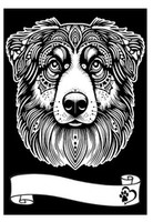 Kolorow. Welw. A4 Owczarek Australijski