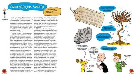 Z tatą na dinozaury