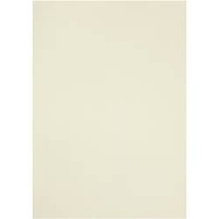 Papier Welinowy A4 100g 10 ark. Biały