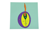 Moyo Montessori | Puzzle botaniczne - Ziarno BIO0166_B003