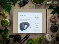 Borsuk