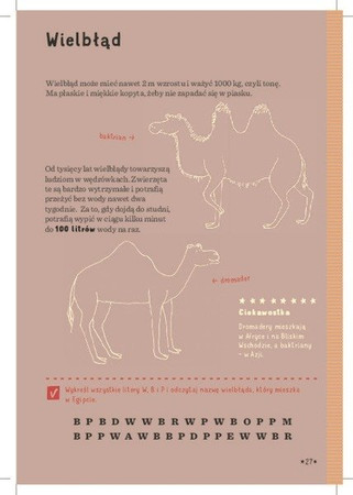 Podróżownik. Egipt