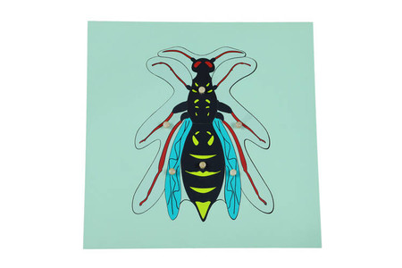 Moyo Montessori | Puzzle ze zwierzętami - Osa BIO0160_B020