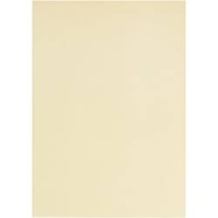 Papier Welinowy A4 100g 10ark. Naturalny