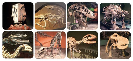 Scratch, Latarka/Projektor XL DINO z pojemnikiem 24 obrazy